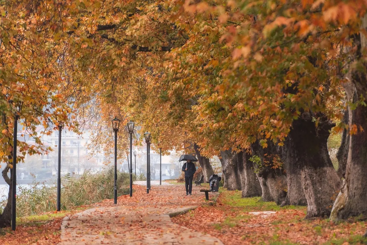 7 Gentle Nature Walks for Autumn Colours in the UK